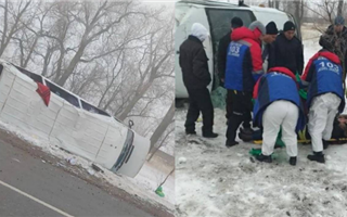 Почему в Алматинской области перевернулась машина с работниками роддома