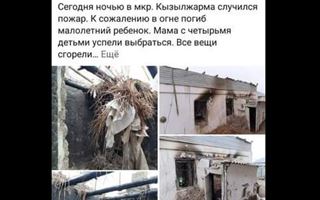 В Кызылорде многодетные матери «штурмовали» акимат