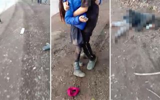 В Алматинской области пьяный водитель сбил четырех маленьких девочек