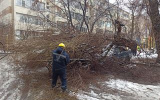 Деревья упали на автомобили из-за обильного снегопада в Алматы 