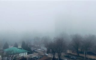 Плотный туман накрыл Алматы