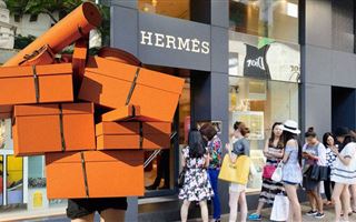 Французский модный дом Hermes начнет делать сумки из грибов
