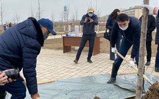 В Казахстане стартовал экологический проект «Таза табиғат»