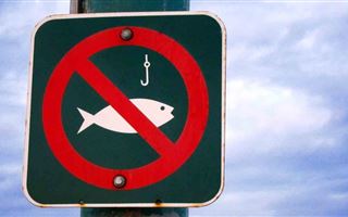 Запрет на рыбалку ввели на Или, Балхаше и Капшагае