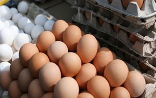 Почти 300 тысяч тенге штрафа заплатят реализаторы за продажу яиц по завышенным ценам в Мангистау