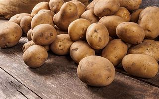 В Алматинской области планируют посадить 40 тыс. га картофеля