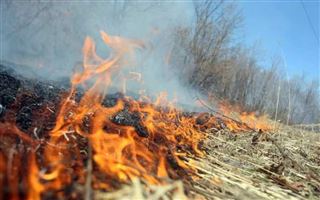 МЧС РК предупреждает о наступлении пожароопасного периода