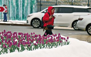 Глобальное потепление несет для Казахстана летнюю засуху, весенние заморозки и зимние дожди - эксперт