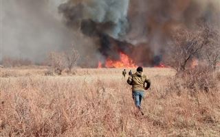 Кому выгодны пожары в Прибалхашье?