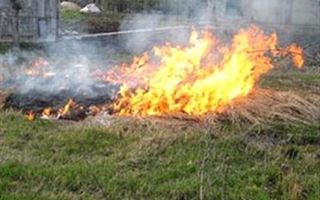 55 дачных участков сгорело в Экибастузе