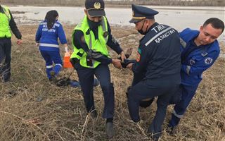В Семее очевидцы вытащили тонувшего мужчину из Иртыша