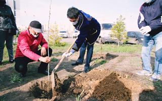 В ЗКО посадили деревья в день единства народов