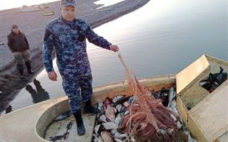 В Алматинской области задержали браконьеров с более 850 килограммами рыбы