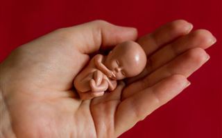 В одном из штатов США приняли жёсткий закон об абортах