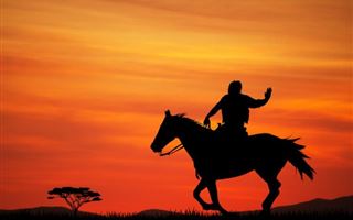 В Алматинской области водитель сбил всадника на лошади