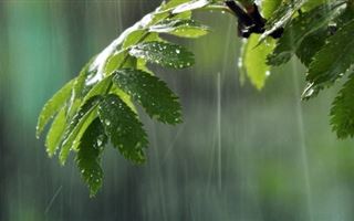 26 мая в РК местами пройдут дожди
