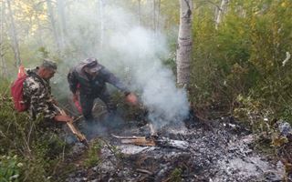 В Риддере на территории лесничества загорелся тополиный пух