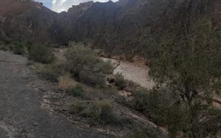 Появилась информация о погибших во время сели в Чарынском каньоне 