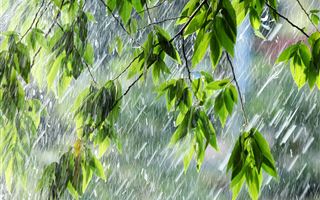 Второго июня на большей части РК пройдут дожди с грозами