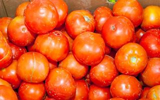 Ввоз томатов и перца из Туркменистана временно запретили в Казахстане