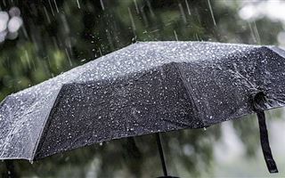 17 июня на большей части РК пройдут дожди