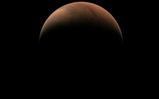 Ученый из NASA поспорил с Илоном Маском насчет полета на Марса