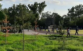В Алматы в парке «Южный» начали засыхать деревья