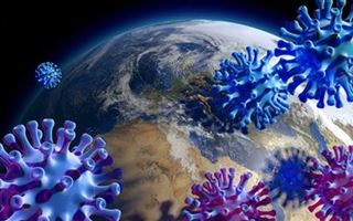 В Узбекистане выявлен "индийский" штамм коронавируса