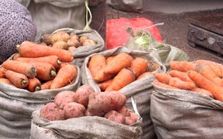 Аргентинские парадоксы семейской картошки