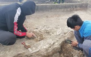 В Акмолинской области во время раскопок обнаружили более 50 артефактов 