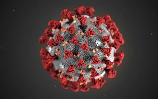 "Лямбда" - штамм, страшнее индийского: правда ли, что в мире появился самый опасный вид коронавируса