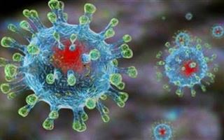 30 человек скончались от коронавируса и пневмонии за сутки в Казахстане