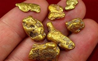 Казахстанка была задержана за попытку ввоза золотых слитков 