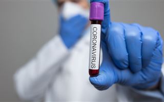 Почти 3700 человек заболели коронавирусом за последние сутки в РК