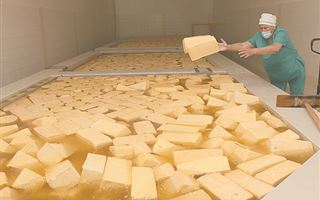 Казахам свой сыр не нужен: мы едим подделки из России