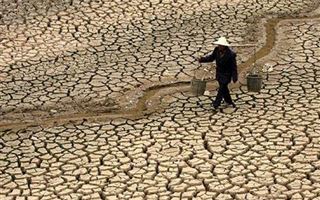 ООН: засухи стали причиной смерти 650 тыс. человек за последние 50 лет