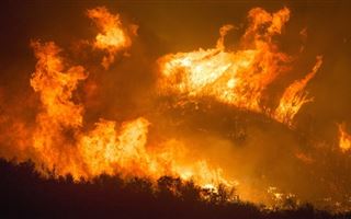 Президент Турции объявил зонами бедствия районы, которые пострадали от лесных пожаров