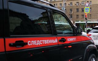 Прокуратура Москвы обвиняет казахстанца в склонении подростка к краже трех миллионов рублей