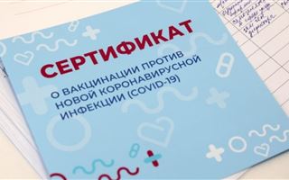 В Алматы прикрыли семейный бизнес по подделке паспортов вакцинации