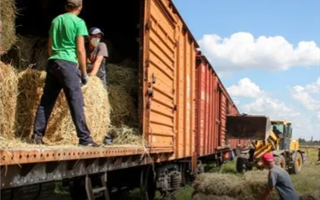 Павлодарцы отправили 250 тонн сена в Мангистаускую область