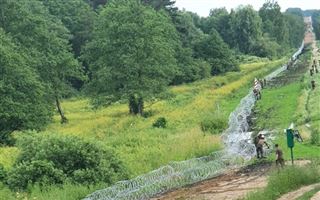 Польша решила построить 2,5-метровый забор на границе с Белоруссией