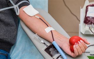 В РК в шесть раз увеличат компенсацию за сдачу крови