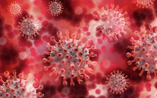 Инфекционист заявил, что существует угроза появления микст-инфекций коронавируса и гриппа