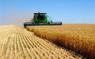 Экспорт сельхозпродукции увеличится в четыре раза в ВКО