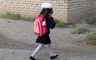 Слово к делу не пришьешь: что творится в школе села Кызылкак