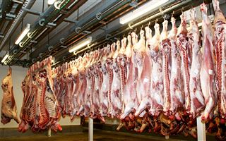 Какие страны Казахстан снабжает мясом и в каких объемах