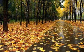 Синоптики рассказали, какой будет погода в октябре в Казахстане