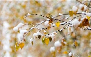 Резкое похолодание и метель прогнозируют казахстанские синоптики
