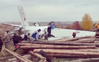 Сколько человек погибло при падении самолёта в Татарстане
