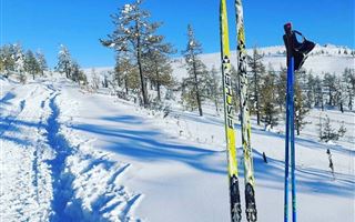 Лыжный сезон открыли в Казахстане